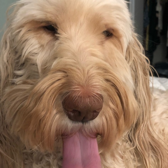 Meet your Posher, Marie - Picture 1 of 1